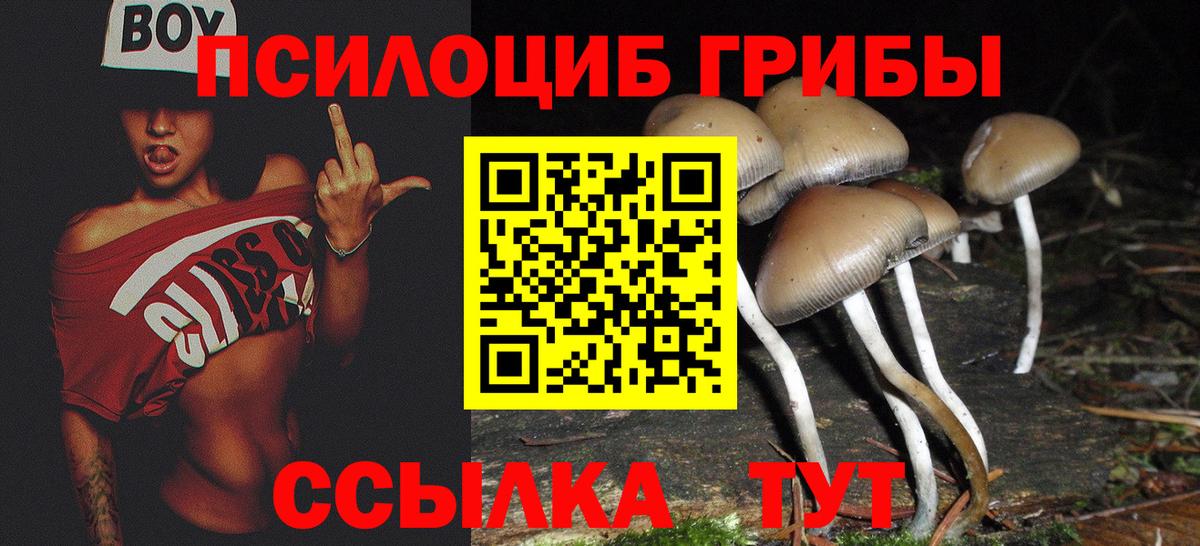 Юрга  дарнет шоп  Вход с VPN  Псилоцибиновые грибы GOLDEN TEACHER  Галлюциногенные грибы Magic Shrooms 