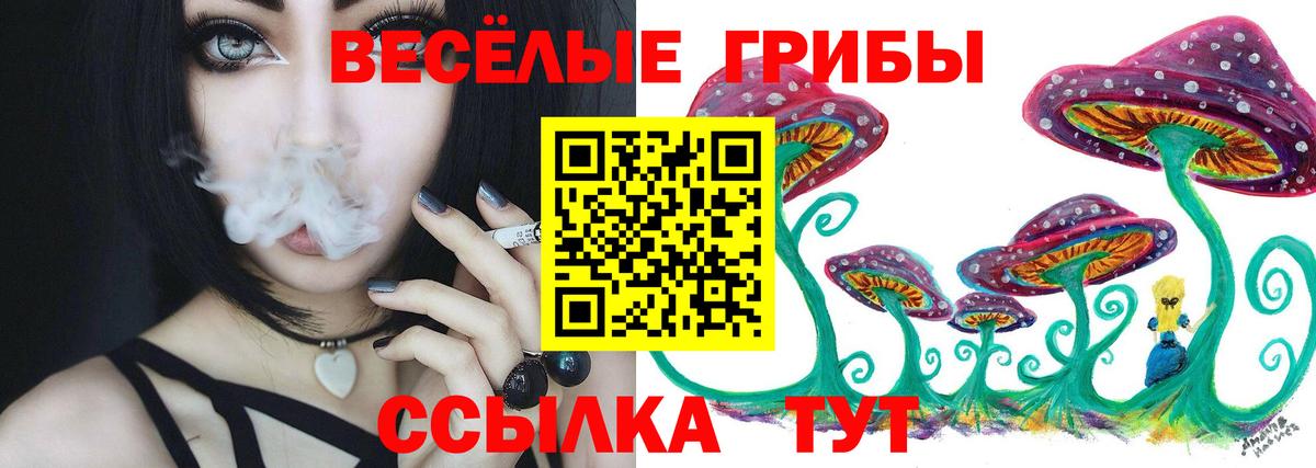Псилоцибиновые грибы прущие грибы Юрга